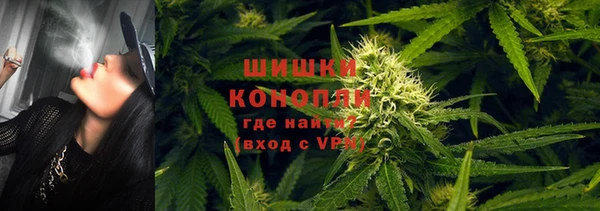 PSILOCYBIN Белая Калитва